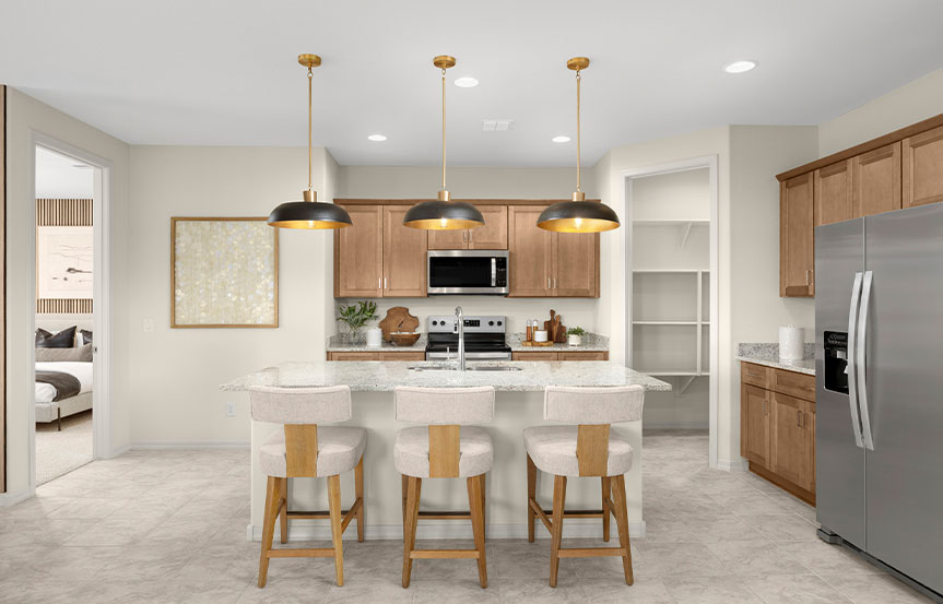 Alamar Sunbird Kitchen 3
