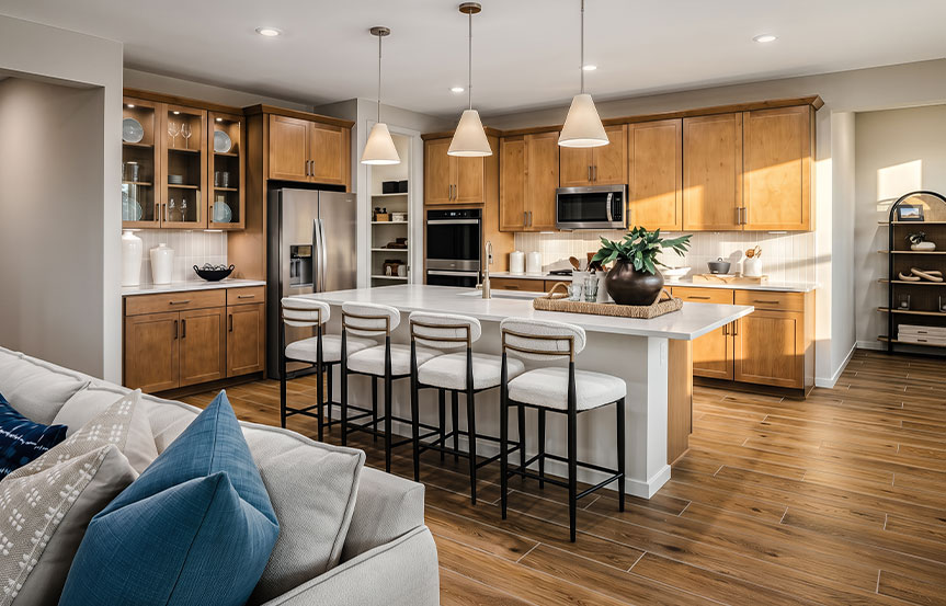 BRP Mariposa Agave Kitchen3